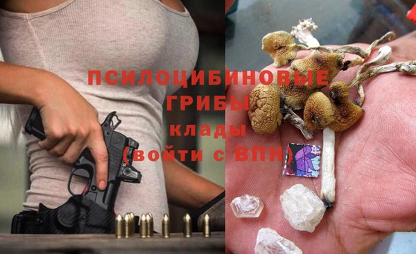 2c-b Балахна