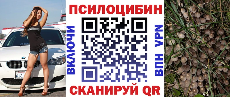 Галлюциногенные грибы GOLDEN TEACHER  Новоалександровск 